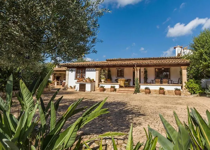 Marinara By Vintage Travel *