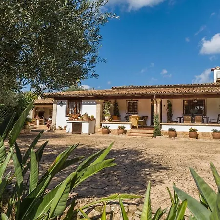 Marinara By Vintage Travel *